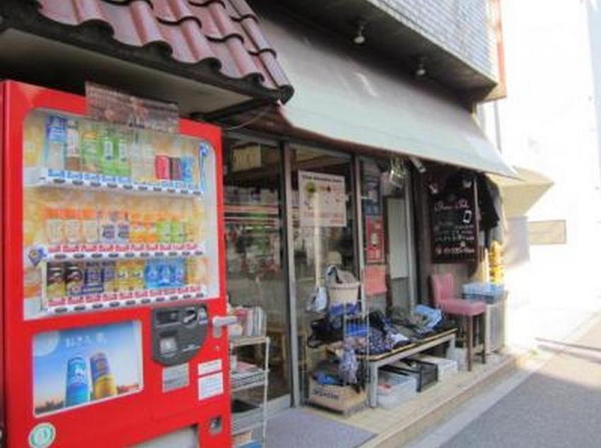 Yadoya Guest House Green Tokyo Ngoại thất bức ảnh